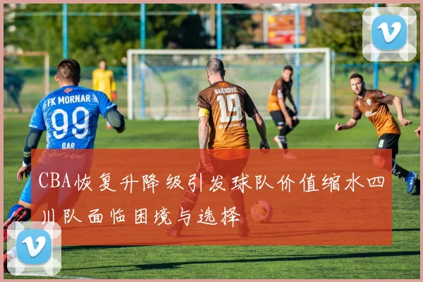 CBA恢复升降级引发球队价值缩水四川队面临困境与选择